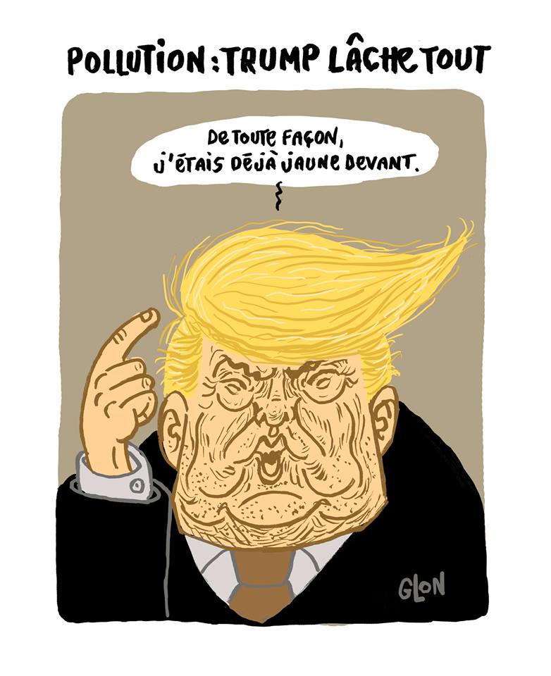 dessin humoristique de la chevelure de Donald Trump