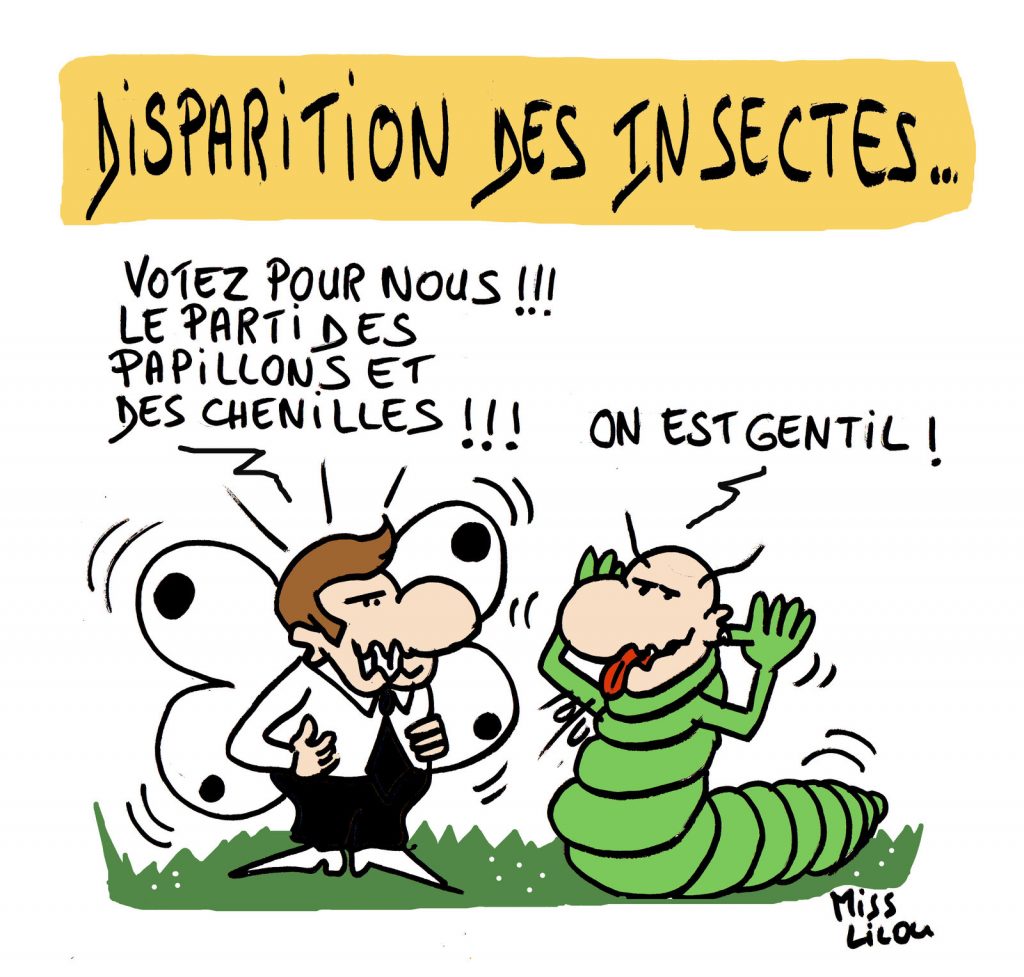 dessin de Miss Lilou sur la disparition des insectes