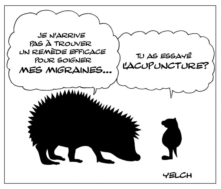 Les migraines du hérisson – Blagues et Dessins