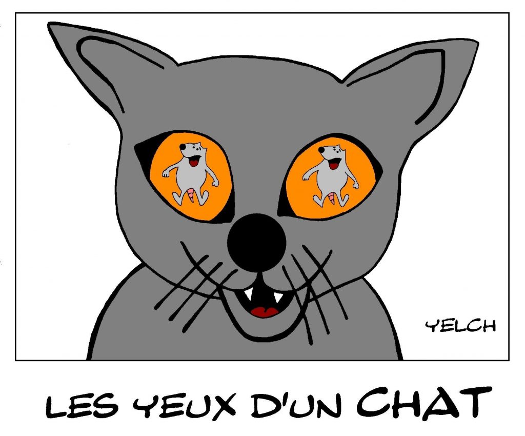 Oeil Blagues Et Dessins