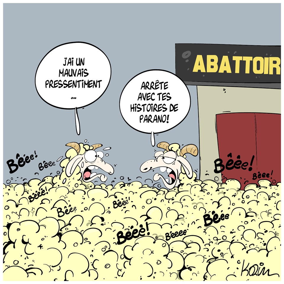 dessin d’actualité humoristique de Karim sur l'Aïd el-Kébir et l’abattage des moutons