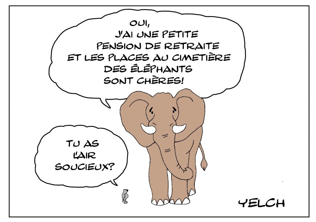 dessin de Yelch sur les éléphants et le cimetière des éléphants