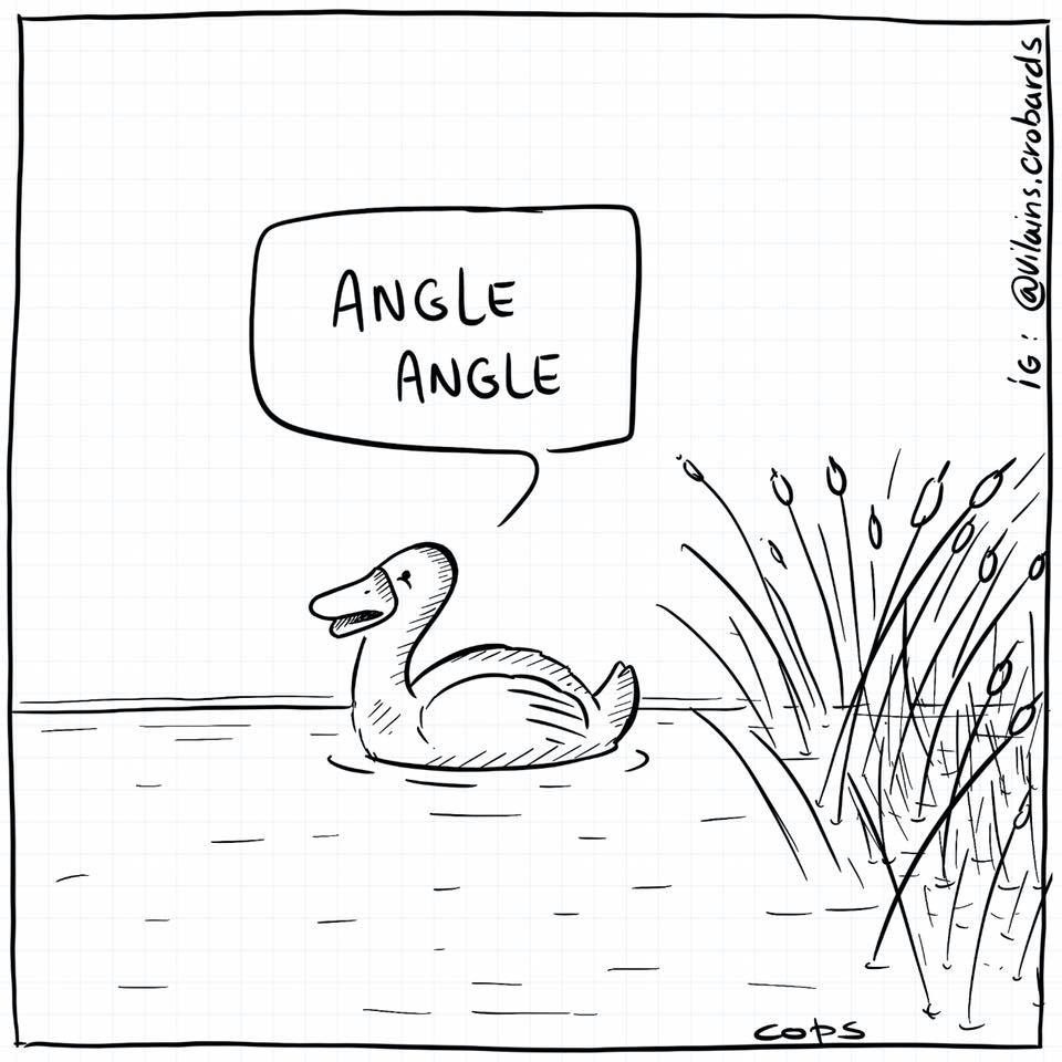 dessin de Cops sur les canards et leur cris