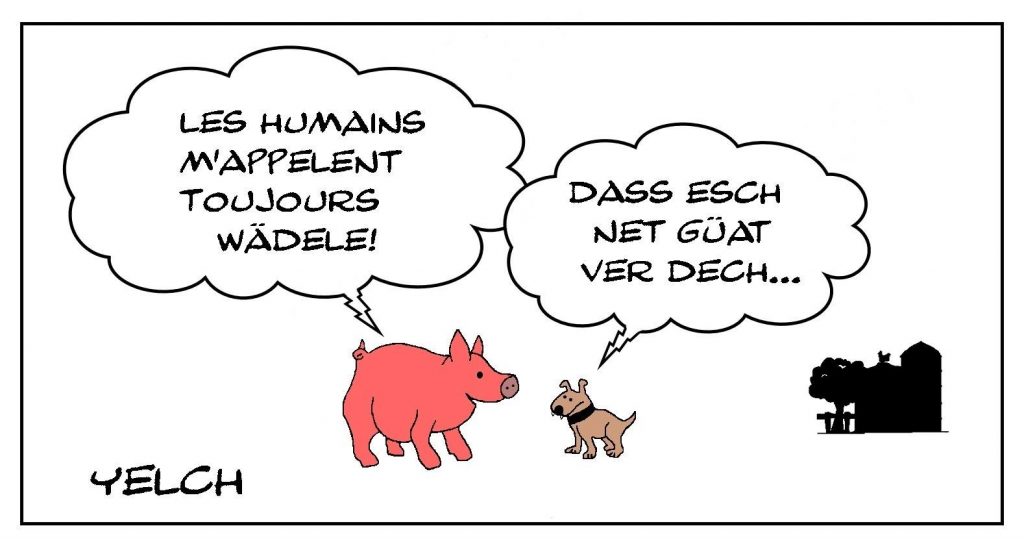dessin presse humour Seppi chien alsacien image drôle Alsace cochon jambonneau