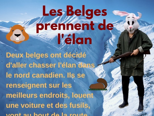 humour, blague sur les Belges, blague sur le Canada, blague sur la chasse à l'élan, blague sur les dépouilles, blague sur les astuces, blague sur l'éloignement