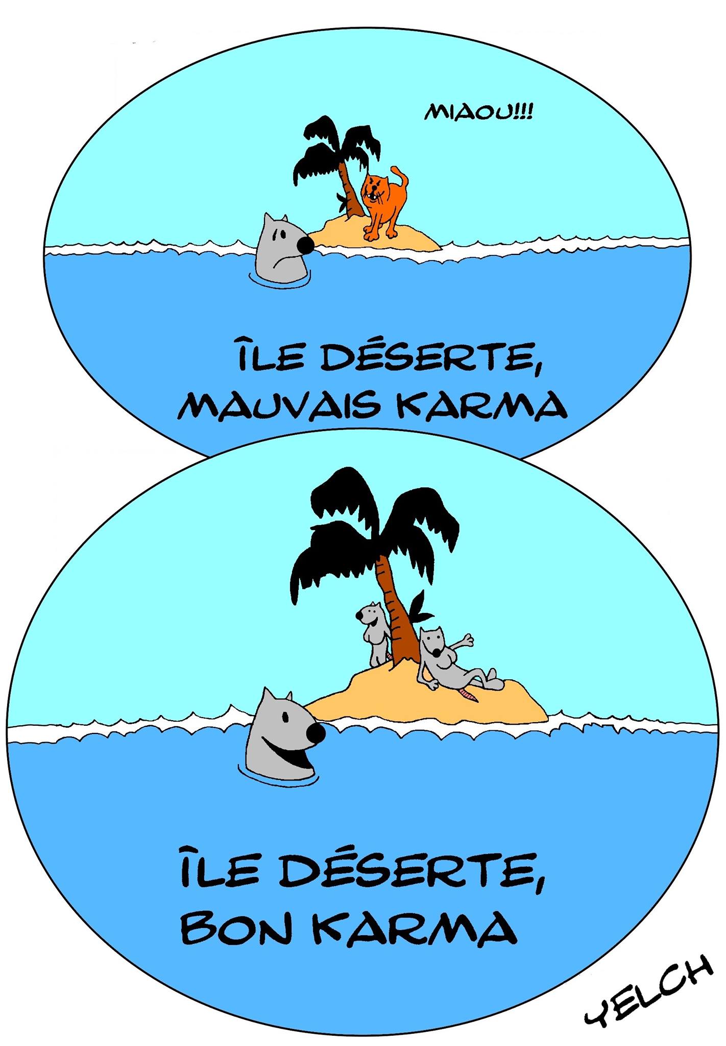 Blague Ile Deserte Blagues Et Dessins