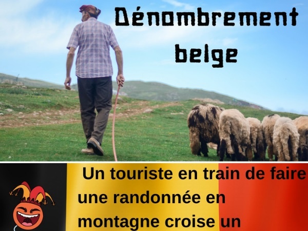 humour, blague sur les Belges, blague sur les moutons, blague sur les bergers, blague sur les paris, blague sur les touristes, blague sur le quitte ou double