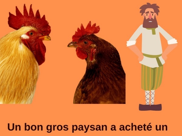 humour, blague sur les paysans, blague sur les coqs, blague sur l'homosexualité, blague sur la vieillesse, blague sur les courses, blague sur les poules