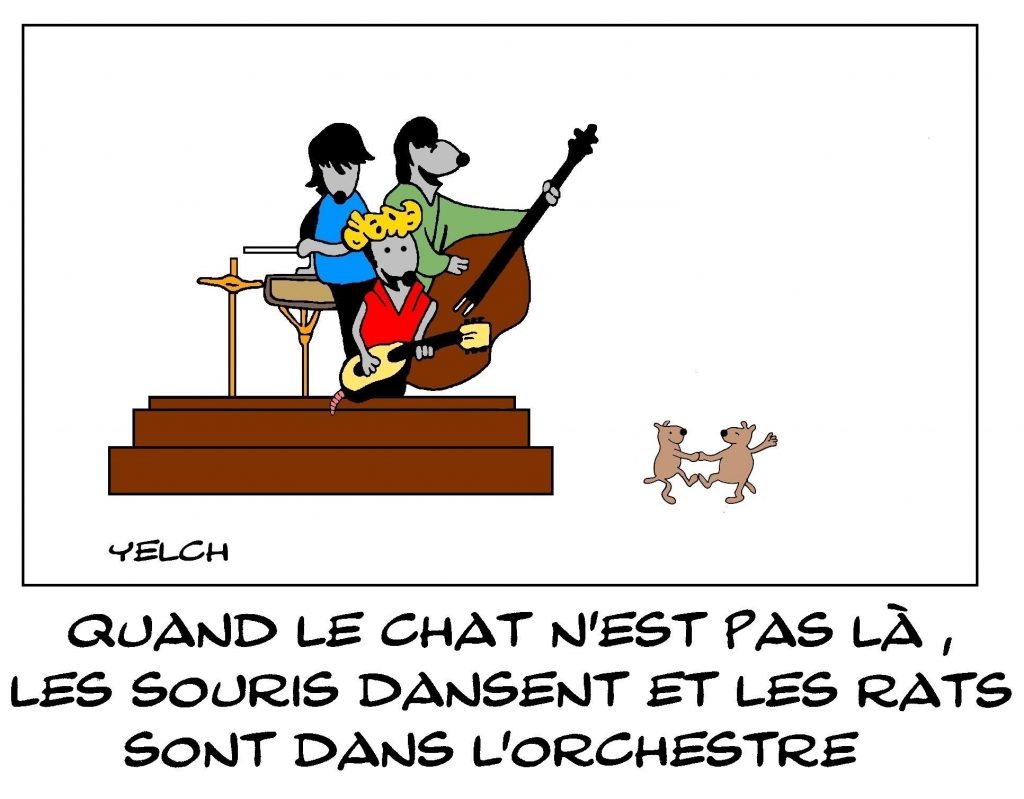 dessins humour proverbe chats image drôle souris danse