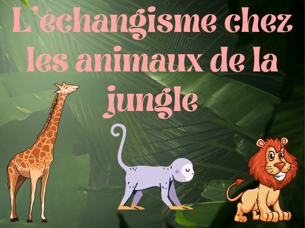 humour, blague animaux, blague jungle, blague sexe, blague sexualité, blague échangisme, blague zoophilie, blague satisfaction, blague lion, blague ouistiti, blague girafe, blague singe, blague taille