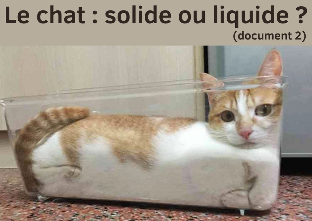 dessin humour chat image drôle solide liquide