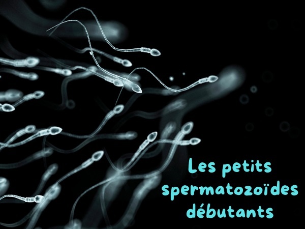 blague sperme, blague spermatozoïdes, blague débutants, blague secousses, blague éjaculation, blague fécondation, humour