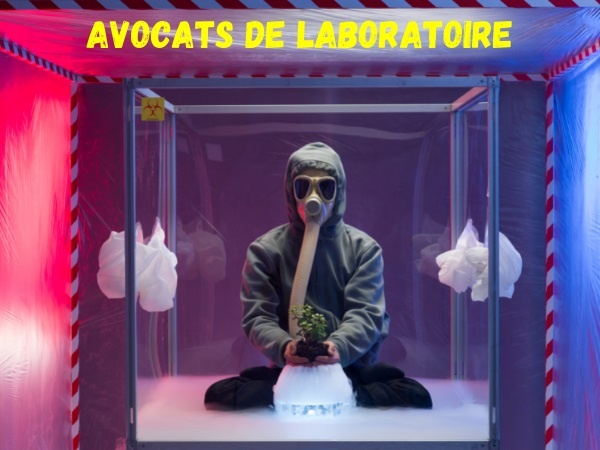 blague avocat, blague scientifique, blague laboratoire, blague rats, blague comportement, blague étude, humour