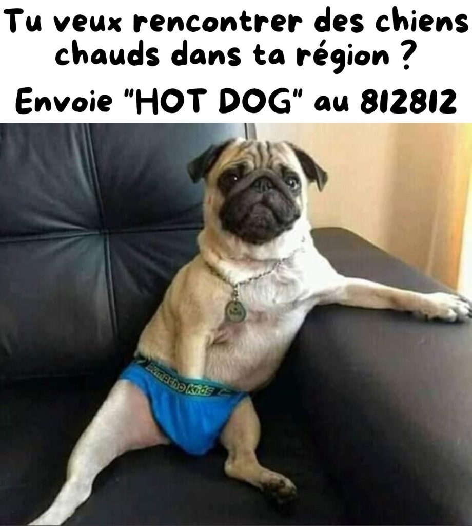 dessin humour serveur chien chaud image drôle hot-dog rencontre