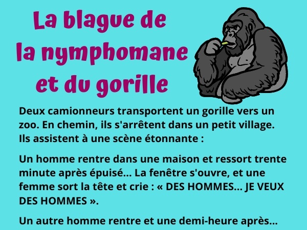 blague nymphomanie, blague sexe, blague sexualité, blague craie, blague zoophilie, blague gorille, humour drôle