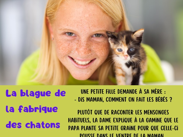 blague petite fille, blague bébé, blague éducation sexuelle, blague graine, blague papa, blague chatte, blague chaton, blague reproduction, humour drôle