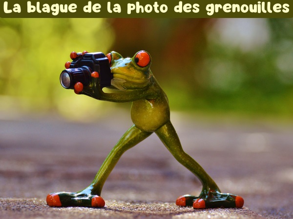 blague batracien, blague grenouille, blague mariage, blague photo de mariage, blague confiture, blague marmelade, humour drôle