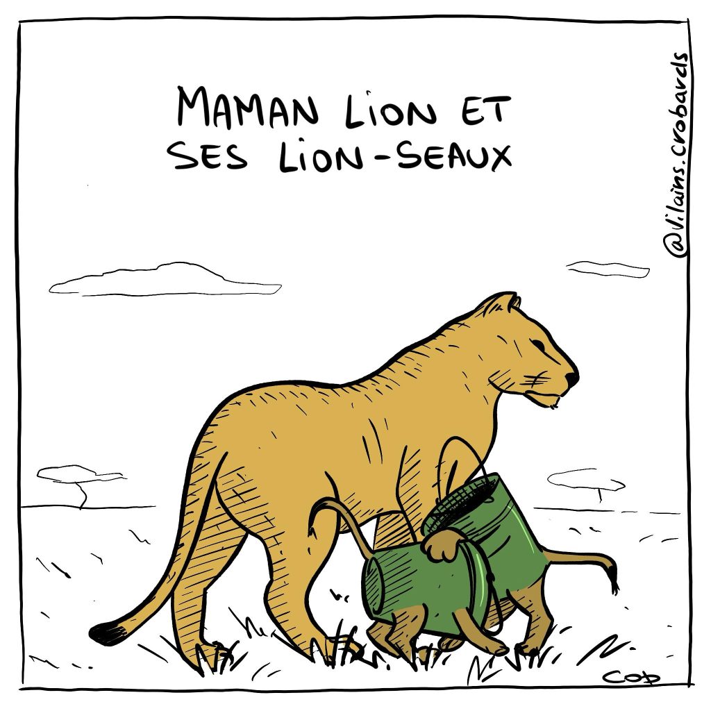 gag image drôle lionceaux dessin blague humour lions seaux