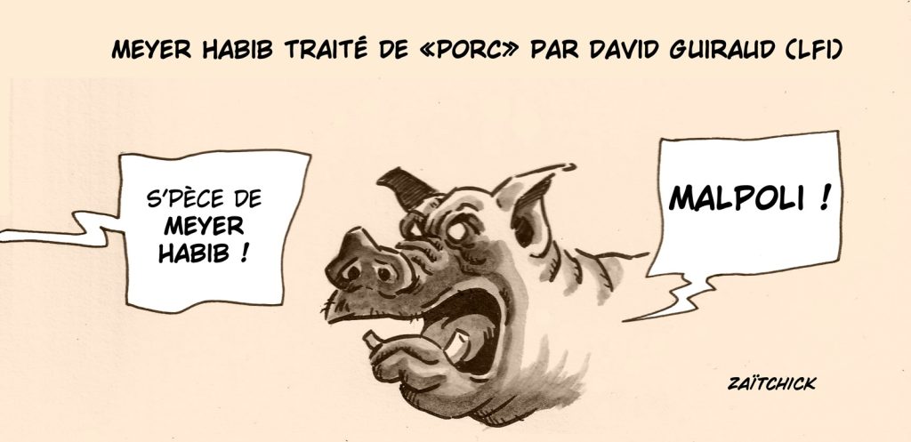 dessin presse humour insulte David Guiraud image drôle Meyer Habib