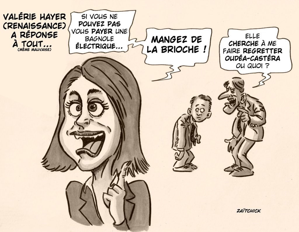 dessin presse humour propos Valérie Hayer image drôle campagne élections européennes