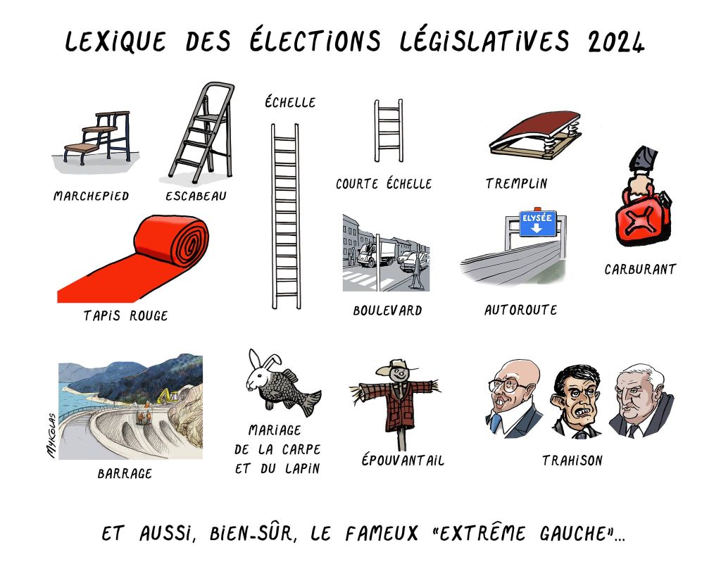 dessin presse humour élections législatives 2024 image drôle lexique