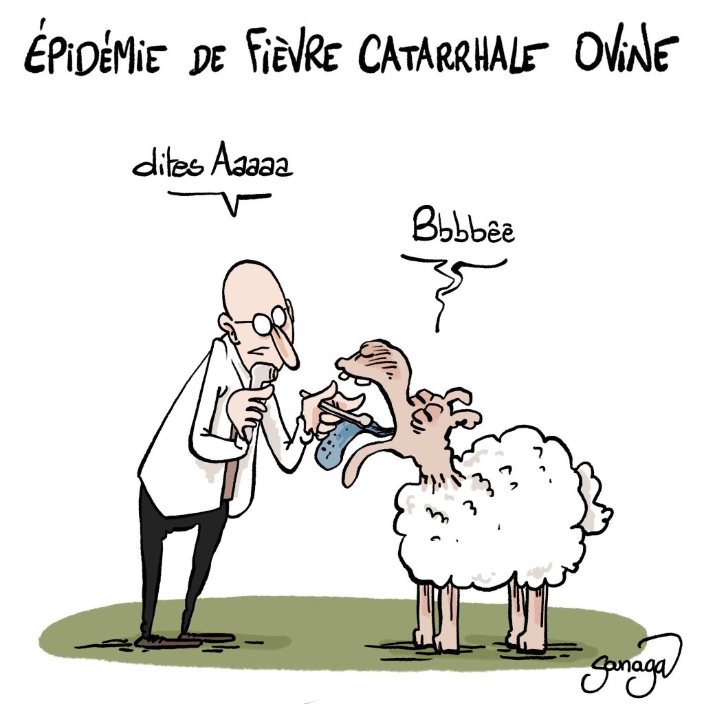 dessin presse humour épidémie image drôle fièvre catarrhale ovine