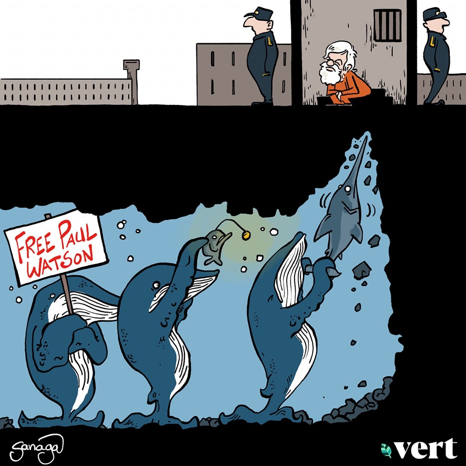 dessin presse humour arrestation Paul Watson image drôle Groenland