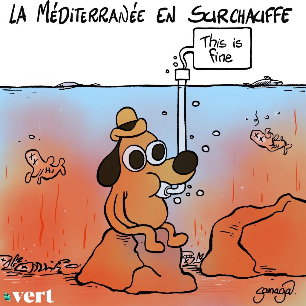 dessin presse humour Question Hound image drôle température Méditerranée