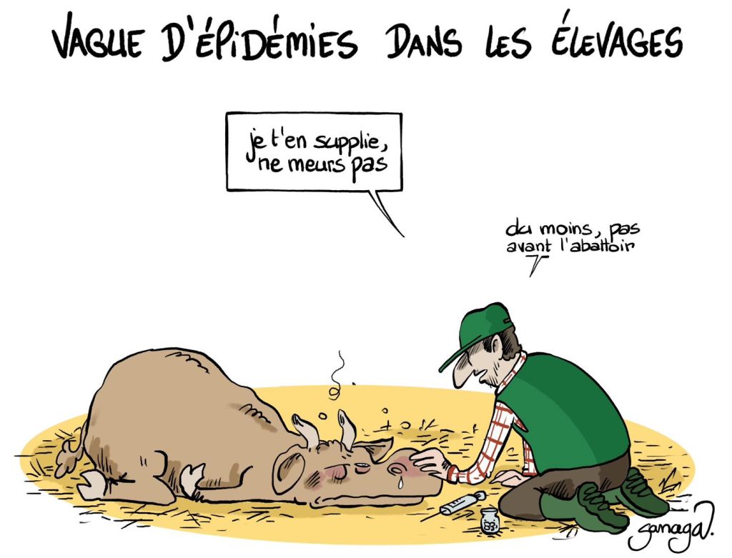 dessin presse humour épidémie image drôle élevages français