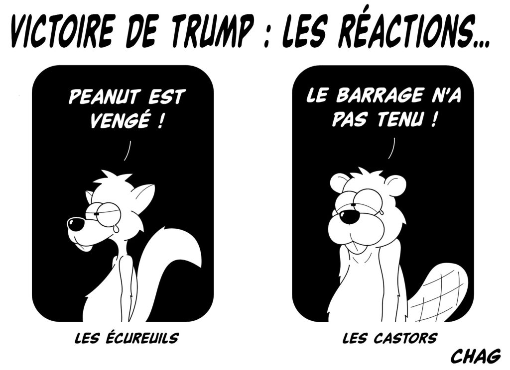 dessin humoristique élection Donald Trump image drôle États-Unis