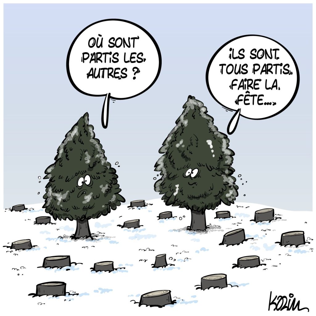 dessin presse humour déforestation image drôle sapin Noël