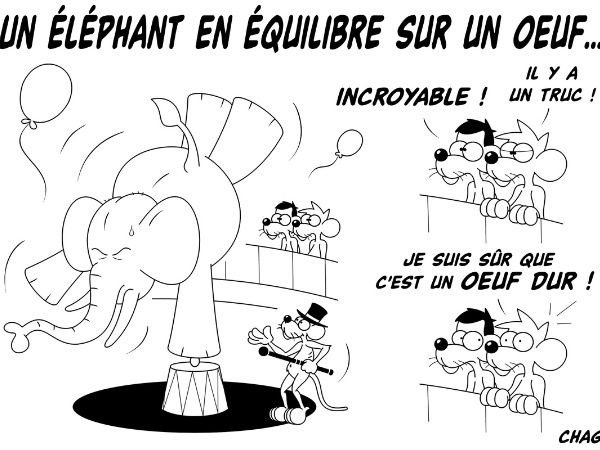 dessin humoristique éléphant image drôle équilibriste